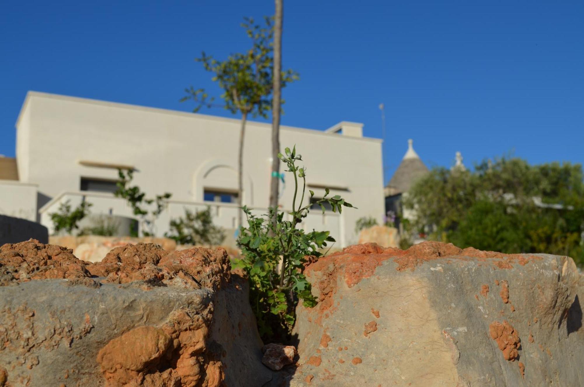 B&B Fuga Al Trullo Ostuni Extérieur photo